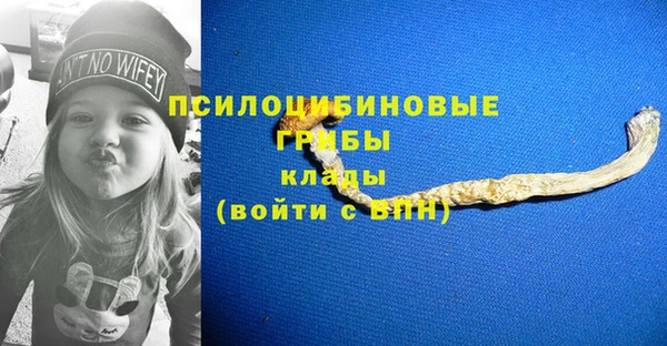 2c-b Володарск