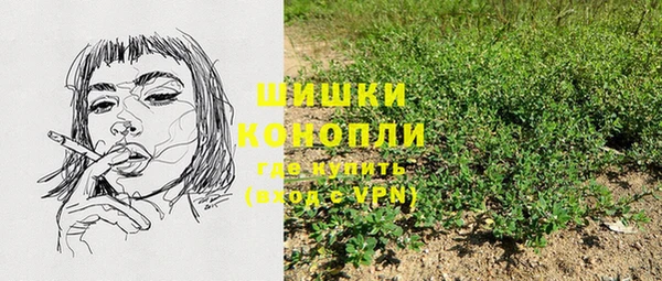 ПСИЛОЦИБИНОВЫЕ ГРИБЫ Верхний Тагил