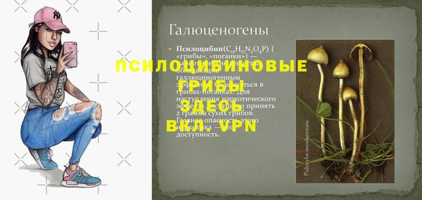ПСИЛОЦИБИНОВЫЕ ГРИБЫ Верхний Тагил